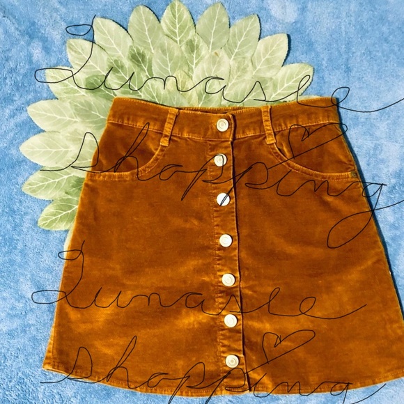 Brandy Melville Skirt; same brand ASO Taylor Swift - Picture 5 of 16